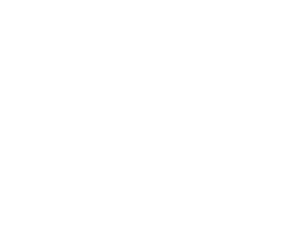 Shapiro BrainHealth Group logo